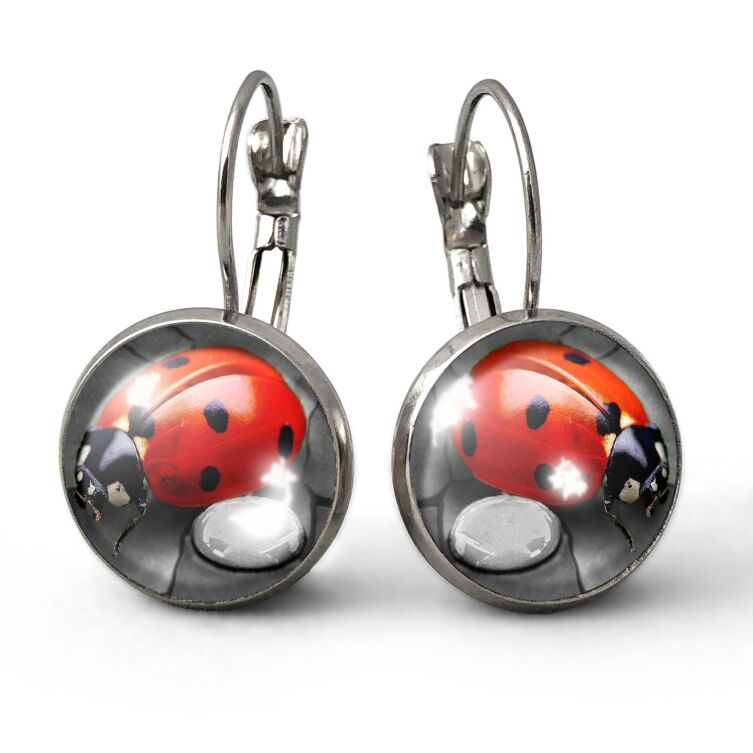 Boucles d'oreilles les coccinelles