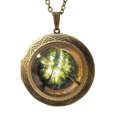 Medaillon la forêt