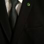 Lapel-pin Hulk - 2